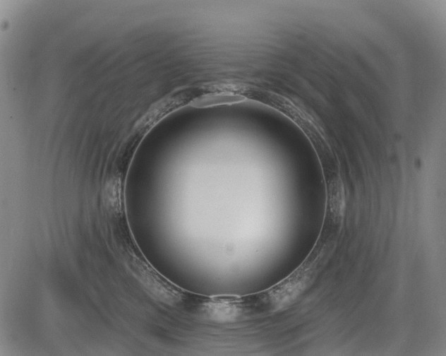 X0000085000425200703051226