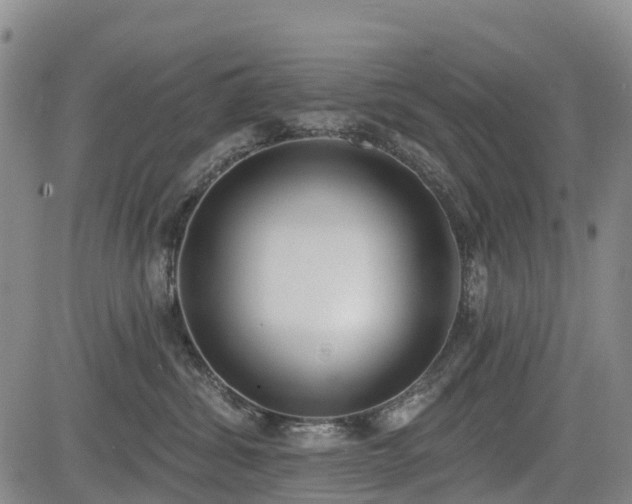 X0000085000428200703051226