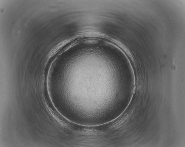 X0000085000437200703051225