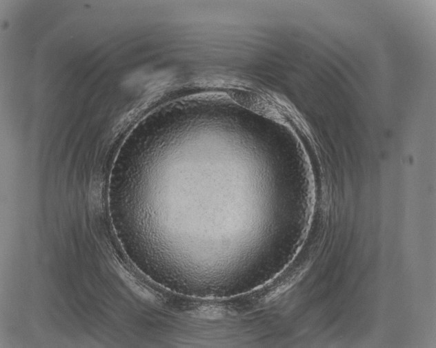 X0000085000441200703051225