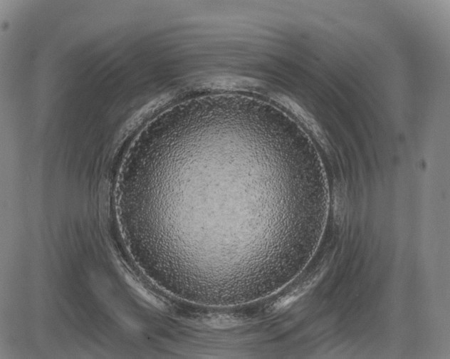X0000085000445200703051225