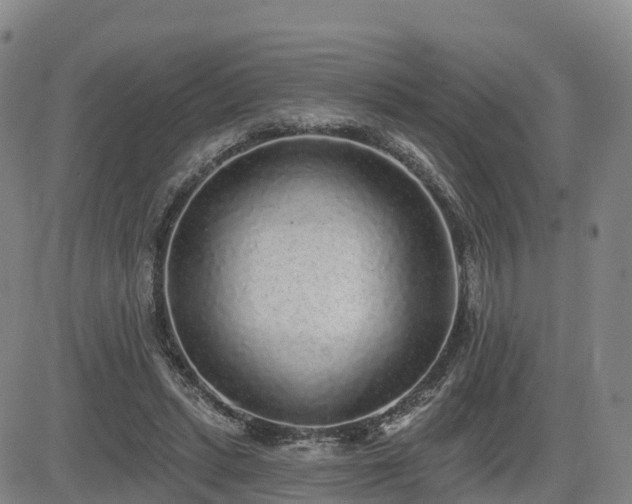 X0000085000447200703051225