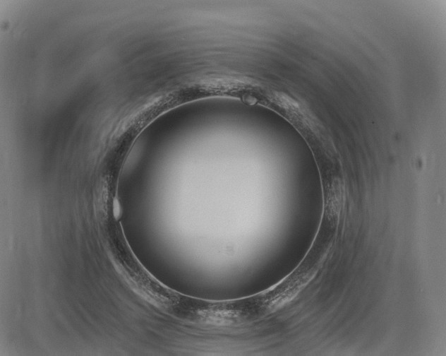 X0000085000448200703051225
