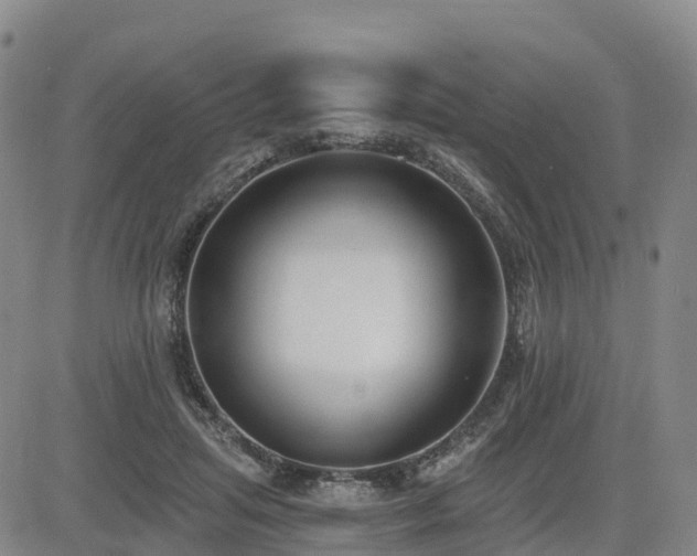 X0000085000455200703051225