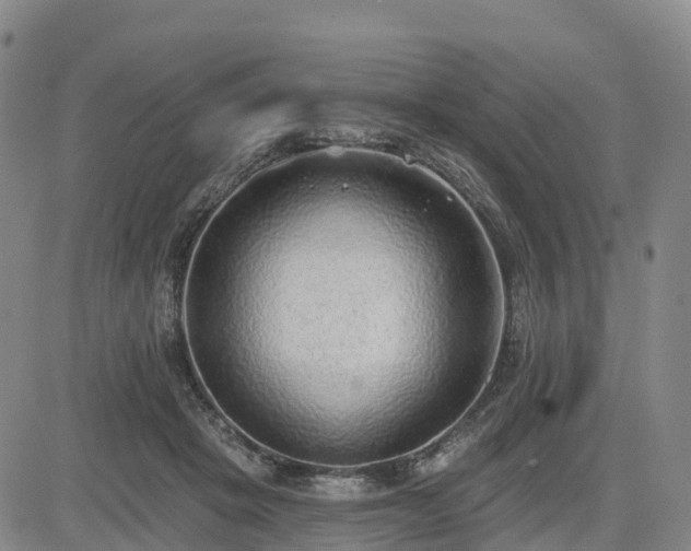 X0000085000457200703051225