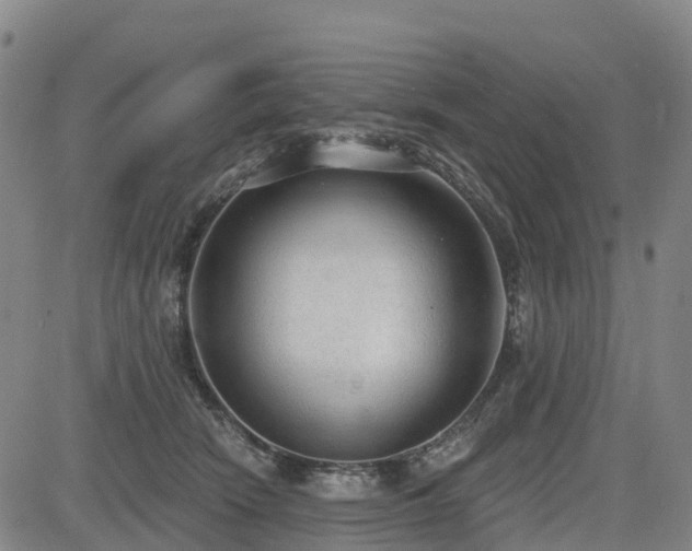 X0000085000466200703051226