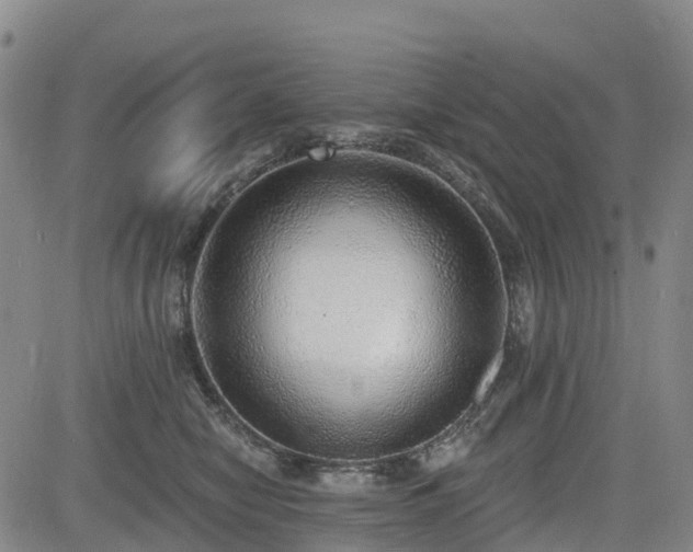 X0000085000470200703051226