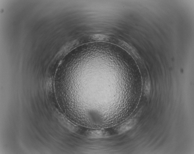 X0000085000473200703051226