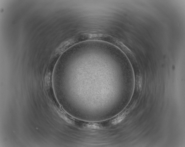 X0000085000475200703051226