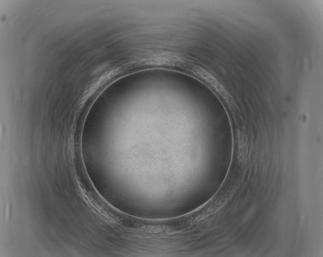 X0000085000482200703051225