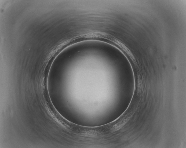 X0000085000485200703051225