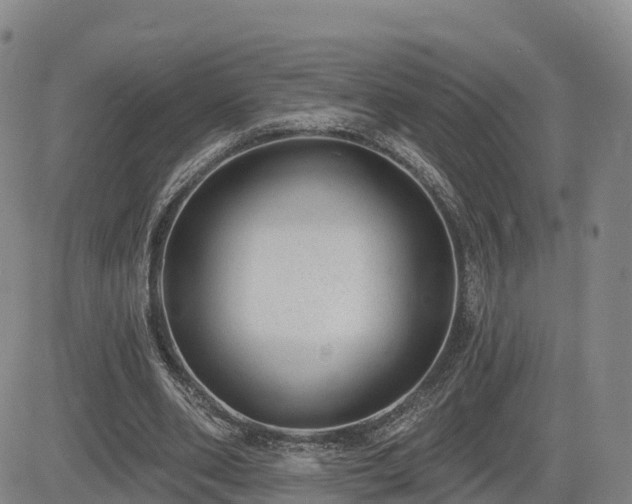 X0000085000486200703051225
