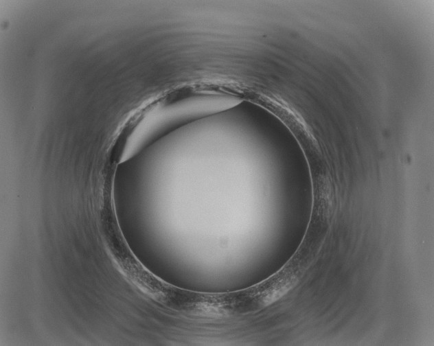 X0000085000496200703051225