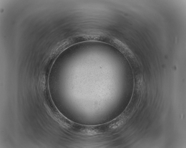 X0000085000498200703051225