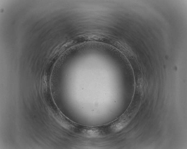 X0000085000506200703051225