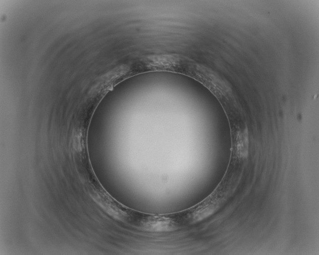 X0000085000514200703051224