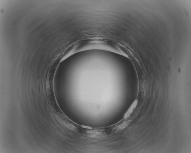 X0000085000516200703051224