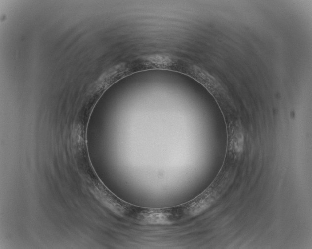 X0000085000518200703051224