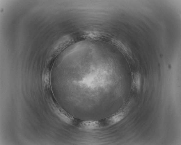 X0000085000526200703051224