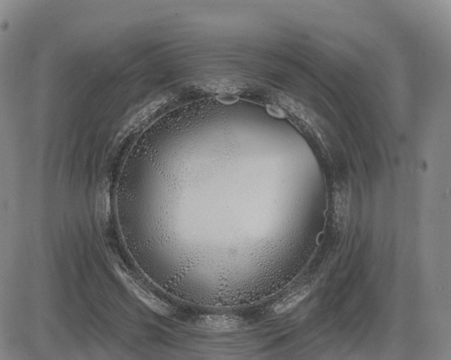 X0000085000541200703051224