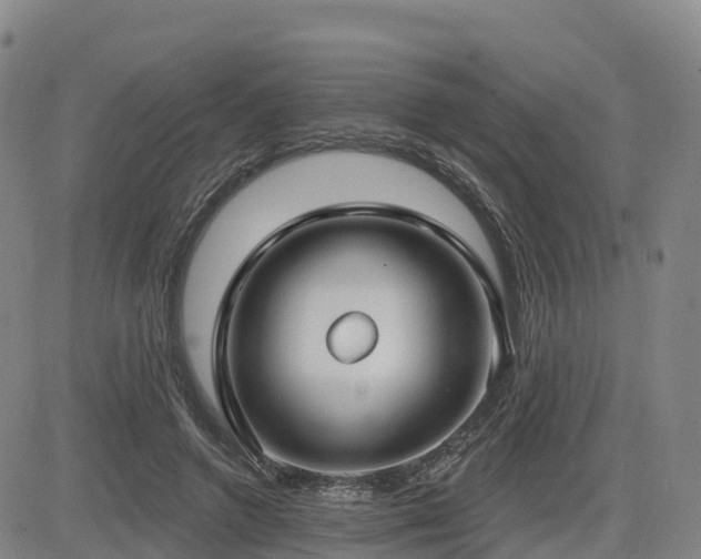 X0000085000546200703051224