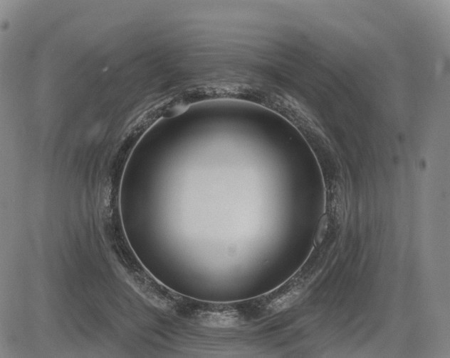 X0000085000548200703051224