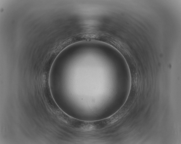 X0000085000551200703051224