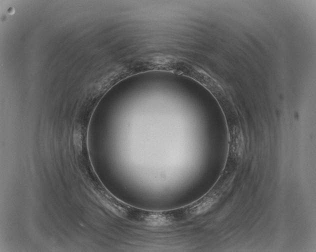 X0000085000562200703051224