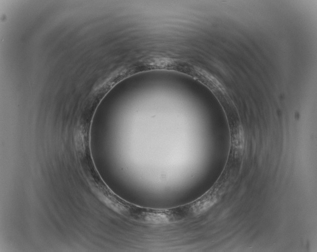 X0000085000572200703051224