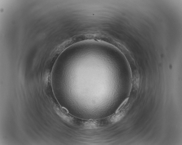 X0000085000574200703051224