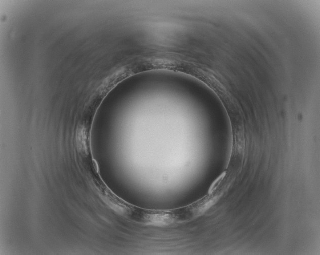 X0000085000575200703051224