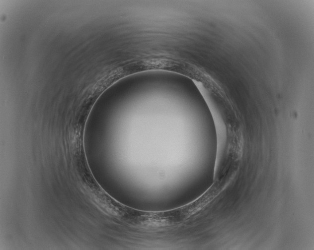 X0000085000601200703051223