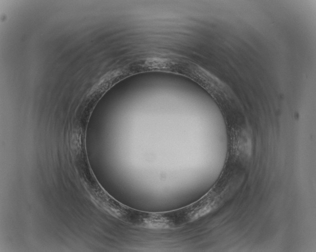 X0000085000603200703051223