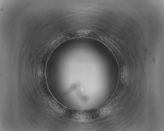X0000085000608200703051223