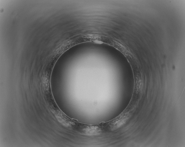 X0000085000609200703051223