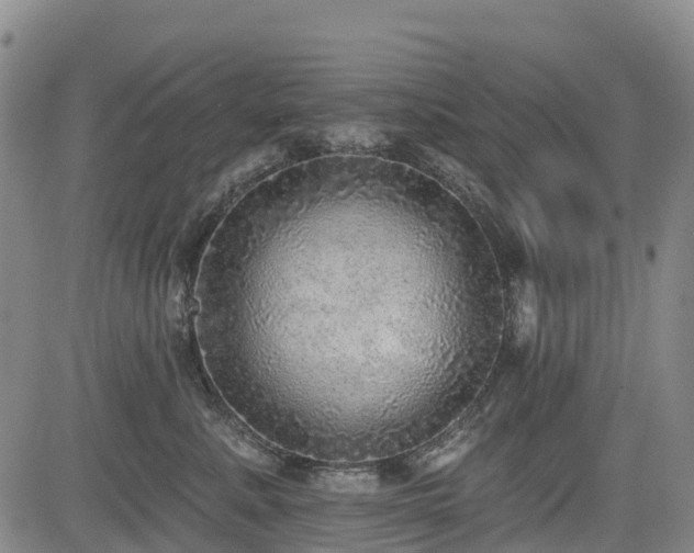X0000085000619200703051223