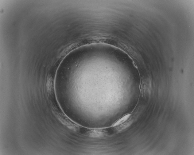 X0000085000623200703051223