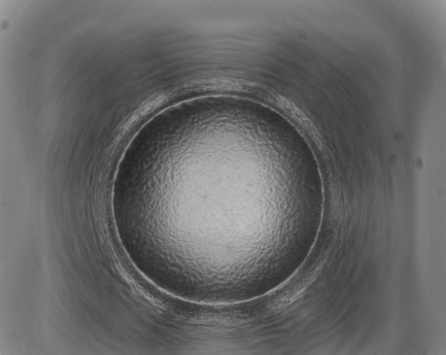 X0000085000625200703051222