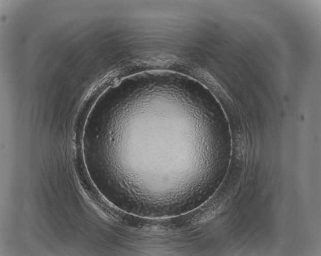 X0000085000634200703051222