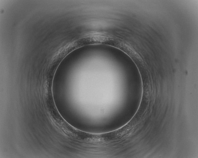 X0000085000639200703051222