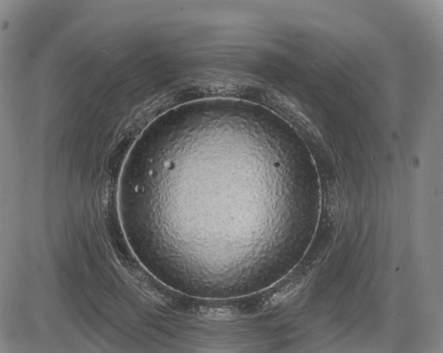 X0000085000645200703051222