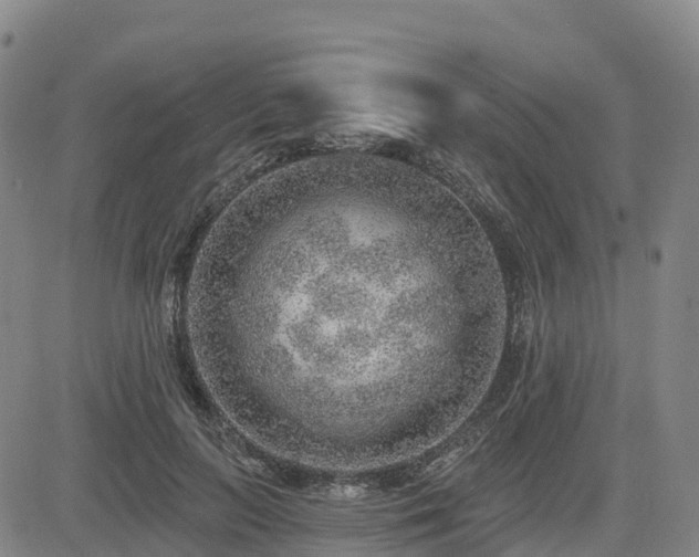X0000085000647200703051222