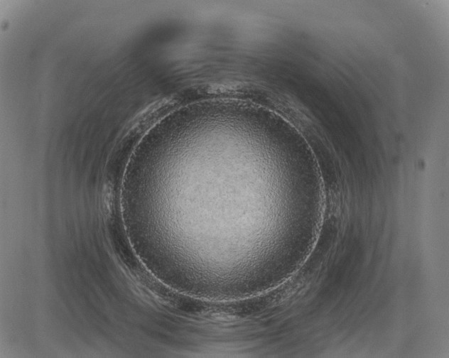 X0000085000648200703051222