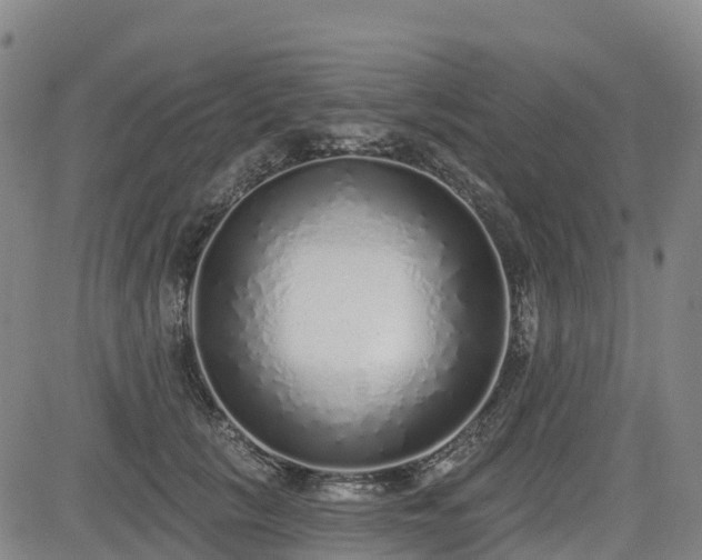 X0000085000657200703051222