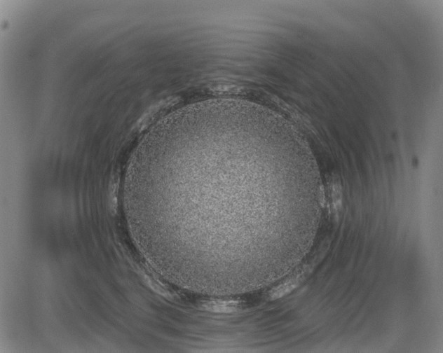X0000085000664200703051222