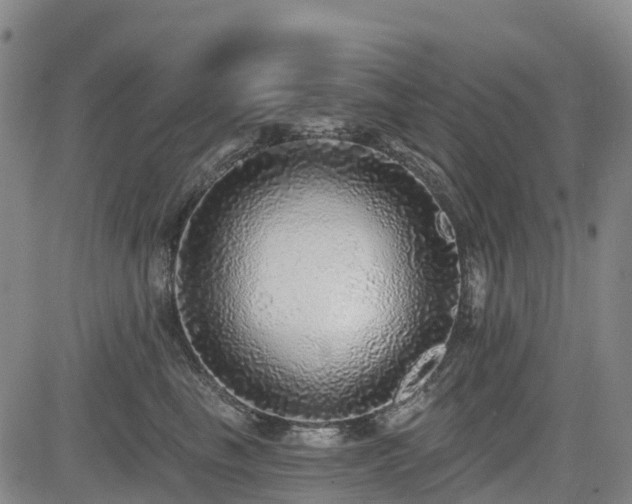 X0000085000665200703051222