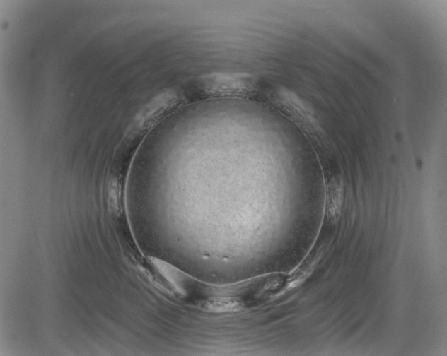 X0000085000669200703051222