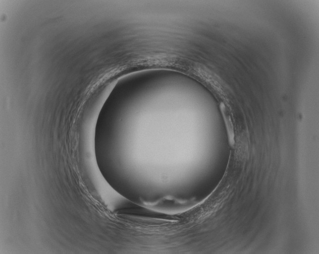 X0000085000673200703051222