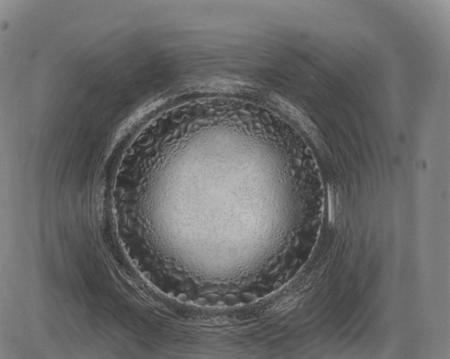 X0000085000675200703051222