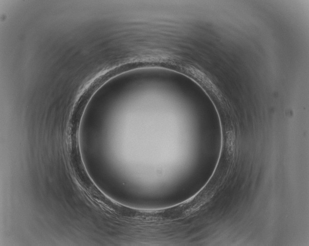 X0000085000676200703051222